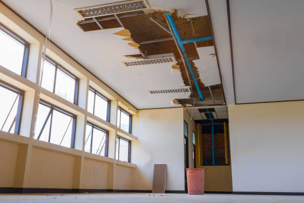 Best Sewage cleanup and water damage restoration  in Ruidoso Downs, NM