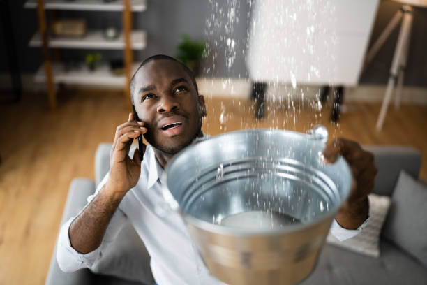 Best Local water damage restoration  in Ruidoso Downs, NM