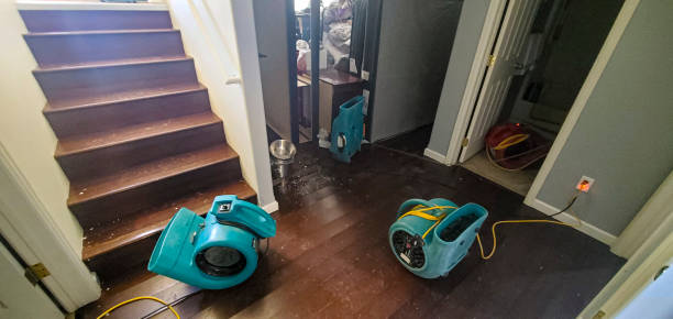 Best Water damage repair service  in Ruidoso Downs, NM