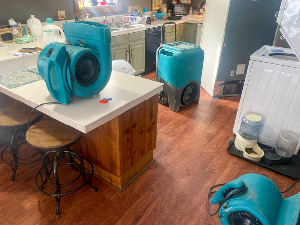 Best Water damage mitigation services  in Ruidoso Downs, NM