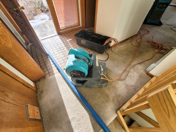 Best Residential water damage restoration  in Ruidoso Downs, NM