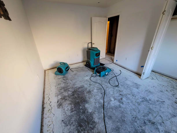  Ruidoso Downs, NM Water damage restoration Pros