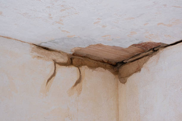 Best Water damage cleanup near me  in Ruidoso Downs, NM