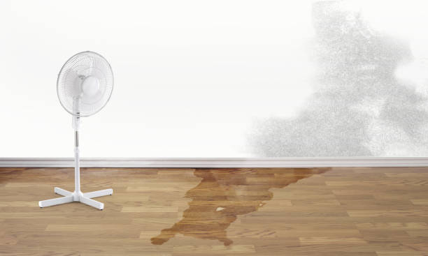 Best Fire Damage Restoration  in Ruidoso Downs, NM