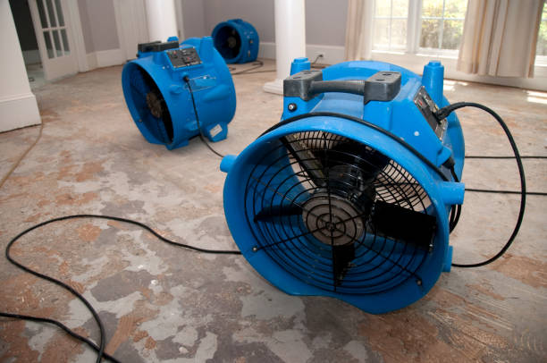 Best Ceiling water damage repair  in Ruidoso Downs, NM
