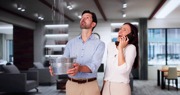 Best Professional water damage repair  in Ruidoso Downs, NM