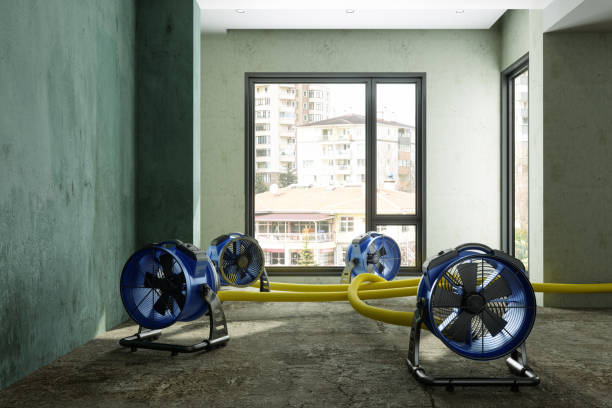 Best Local water damage restoration  in Ruidoso Downs, NM